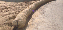 Foundation Contractor San Francisco